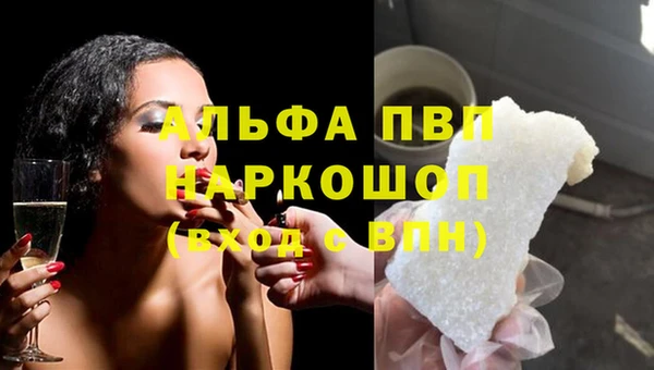 прущие грибы Майский