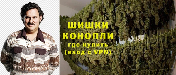 прущие грибы Майский