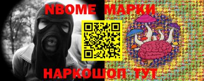 шишки Кандалакша