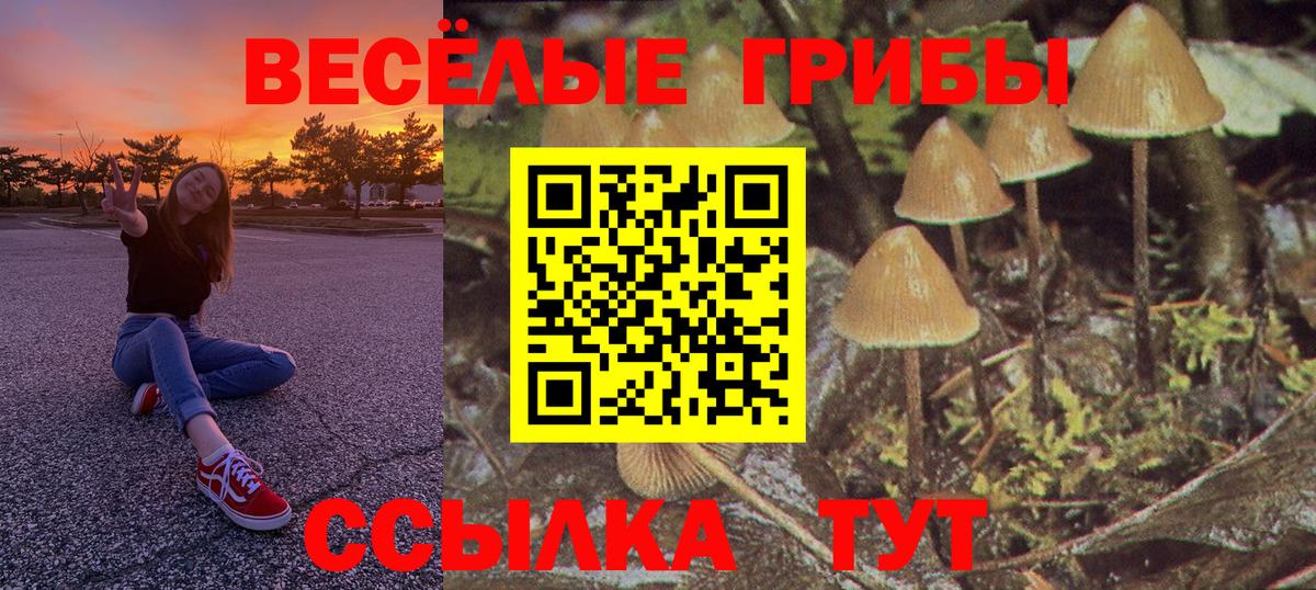 Псилоцибиновые грибы MAGIC MUSHROOMS  Галлюциногенные грибы Cubensis  Тайшет  Вход с VPN 
